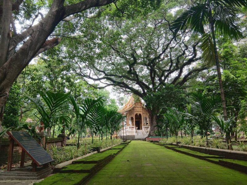 ทส. มั่นใจ “เชียงใหม่ ล้านนา” พร้อมรับตรวจ ICOMOS มุ่งสู่มรดกโลกแห่งที่ 10