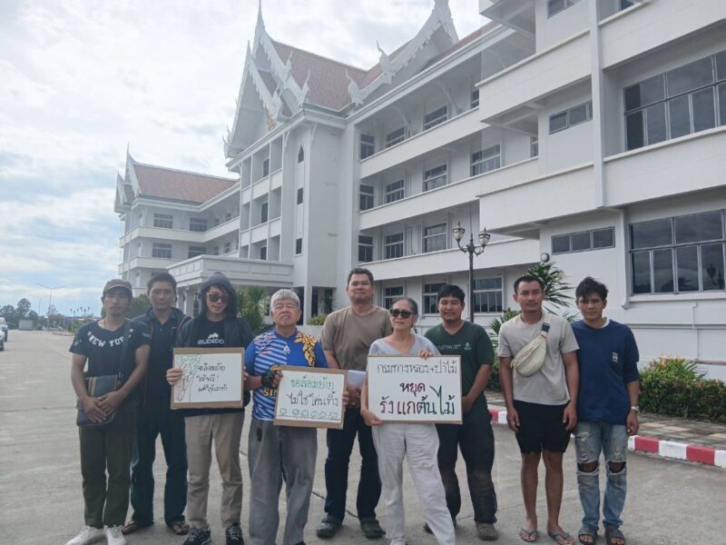 ยื่นผู้ว่าฯ ลำพูน หยุดโค่นไม้ป่าร้อยปี ขยายทางหลวง ‘บ้านโฮ่ง-ลี้’ ดัน ‘ขุดล้อมย้าย’