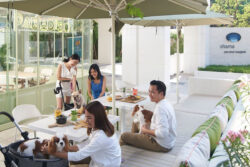 “ชามา”จัดเต็มเซอร์วิสอพาร์ตเมนต์ ทำเลเด่นทั่วกรุง เจาะตลาดเทรนด์คนทำงานยุคใหม่